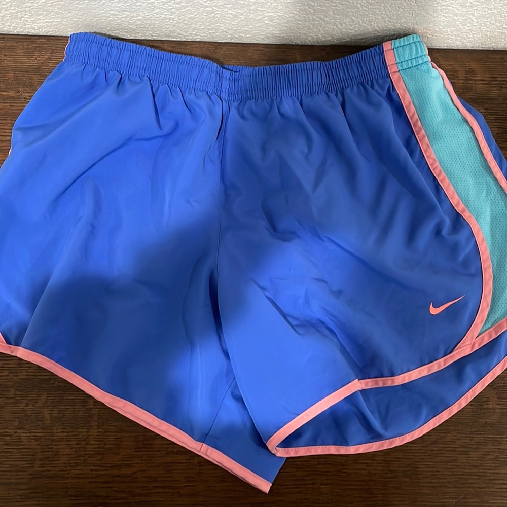 Nike Dry Fit Shorts